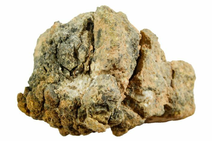 Howardite Meteorite ( g) - Bechar #348430